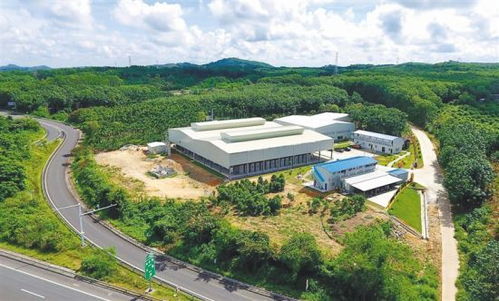 澄邁產業幫扶拔窮根 環?？萍间伨涂沙掷m發展之路